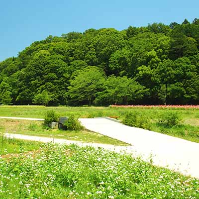 リフォーム トータルリフォーム リノベーション 修繕 改修 バリアフリー工事 彦根市 長浜市 米原市 東近江市 フィアスホーム ながじゅう 長住建設